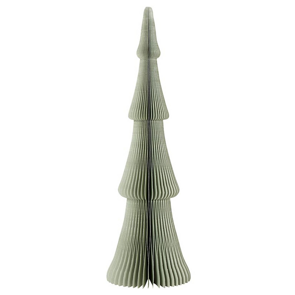 Paper Tree - Frasier Fir Sage 14"