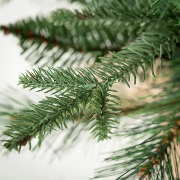 Small Mixed Pine Burlap Tree