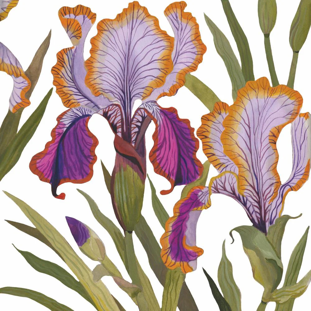 Dominique Beverage Napkins (20 Count)