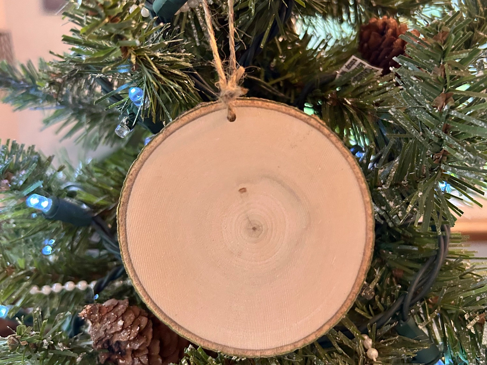 Colorado Wildlife Painted Ornament