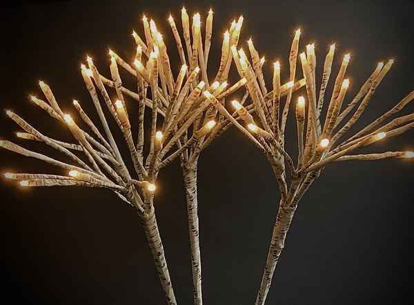 Starburst Birch Branch LED