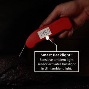 Thermapen ONE
