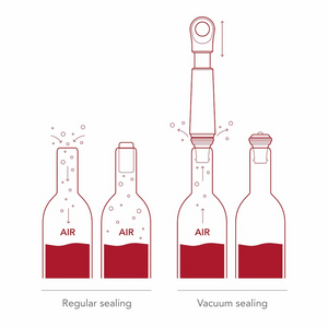 Loop Wine Saver - Choose from 2 Colors