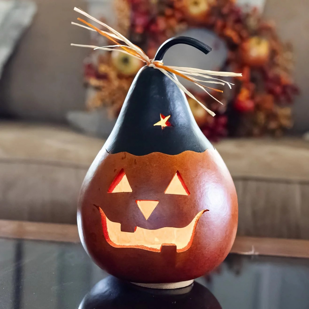 Black Jack Jack-O-Lantern - Meadowbrooke Gourds