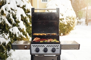 Freestyle 365 Grill - Choose Propane or Natural Gas
