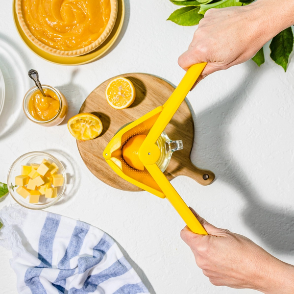 Fluicer - Fold Flat Easy Juicer