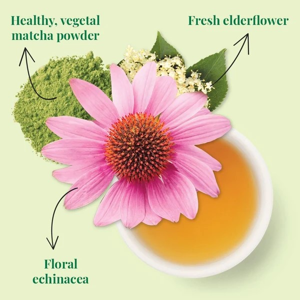 The Republic of Tea SuperGreen Immunity Tea