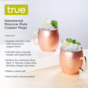 Hammered Copper Plated Moscow Mule Mugs Set of 2