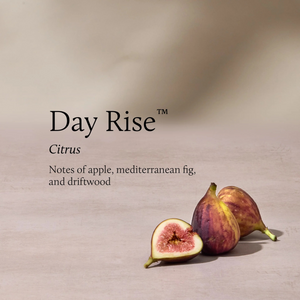 Day Rise 6.5 oz Poured Candle by Thymes