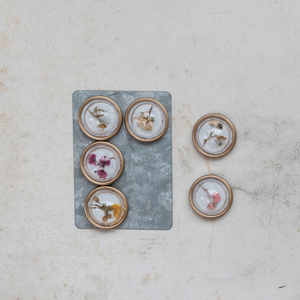Magnets on Metal Card with Botanicals, Set of 6