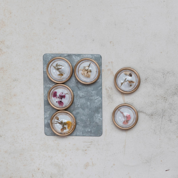 Magnets on Metal Card with Botanicals, Set of 6