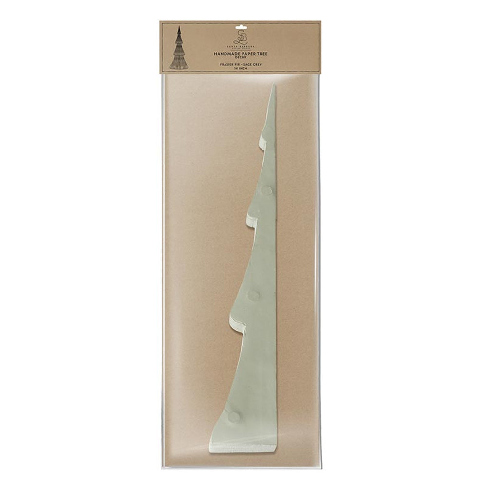 Paper Tree - Frasier Fir Sage 14"