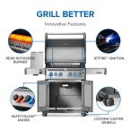 Napoleon Rogue PRO-S 525 RSIB - Choose Propane or Natural Gas