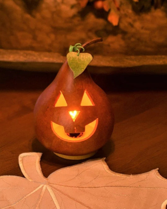 Traditional Jack O' Lantern Pumpkin - Small Lit - Meadowbrooke Gourds
