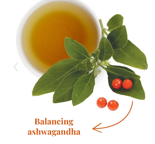 SuperAdapt™ Clarity and Calm® Tea