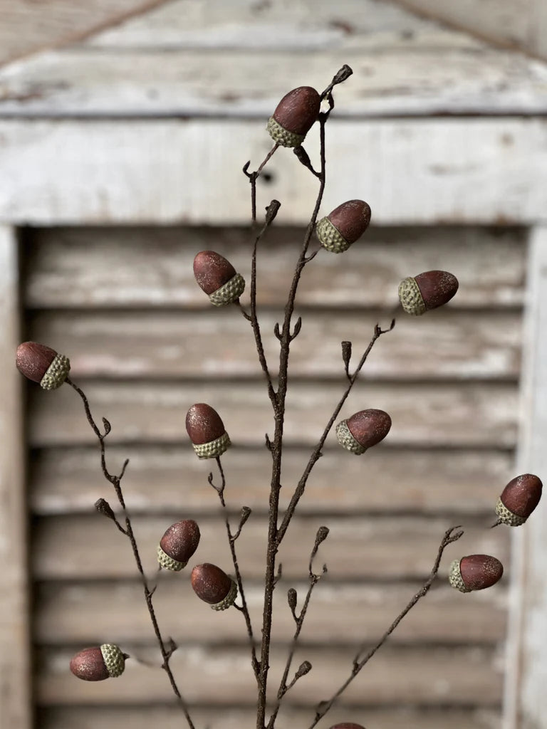 Oakview Acorn Spray | 41"