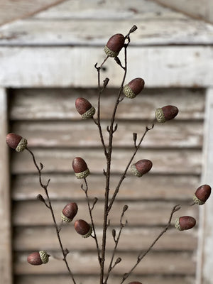Oakview Acorn Spray | 41"