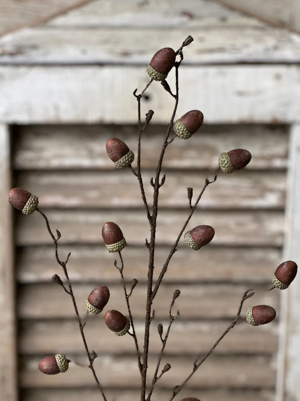 Oakview Acorn Spray | 41"