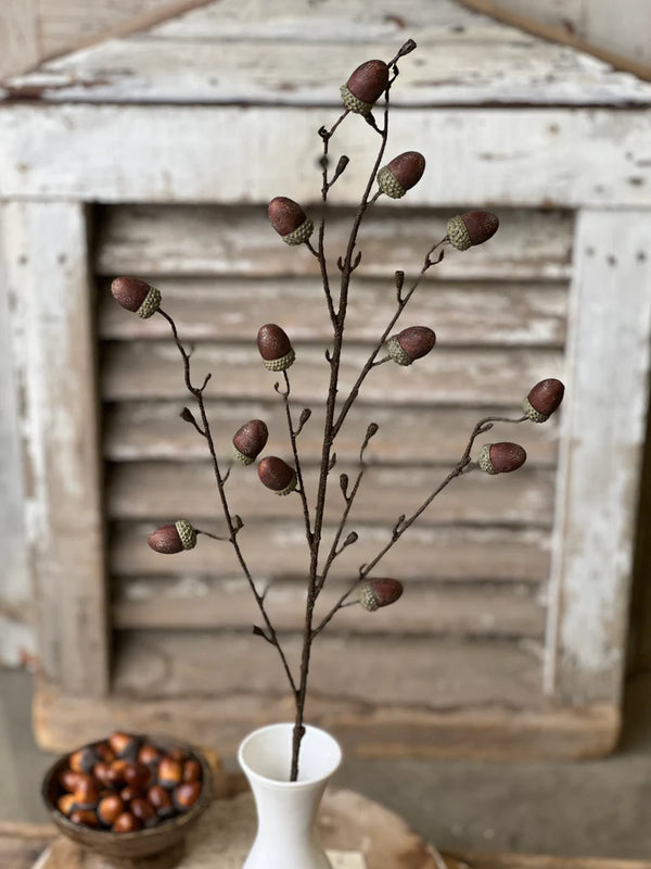 Oakview Acorn Spray | 41"