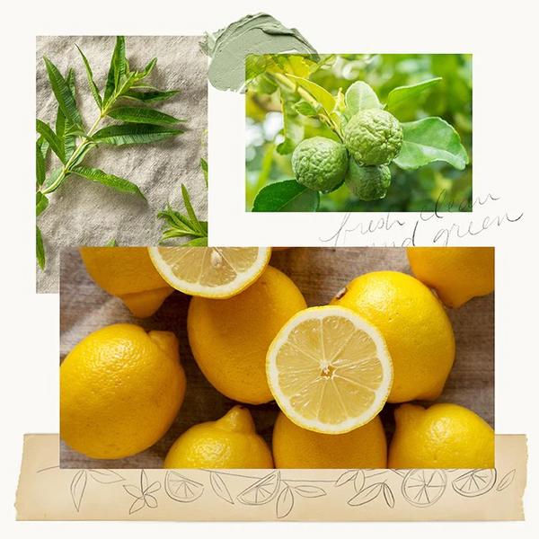 Lemon Leaf Countertop Spray by Thymes