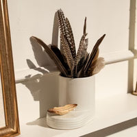 Creative Quill (feather)