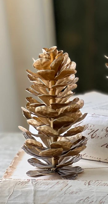 Epaulette Pinecone - 2 Sizes