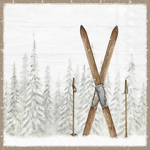 Holiday Cocktail Beverage Napkins - Several Styles to Choose From
