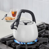 2 Qt. Matte White Stainless-Steel Tea Kettle