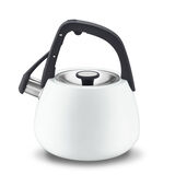 2 Qt. Matte White Stainless-Steel Tea Kettle