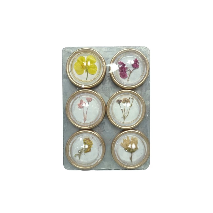 Magnets on Metal Card with Botanicals, Set of 6