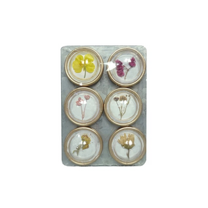 Magnets on Metal Card with Botanicals, Set of 6
