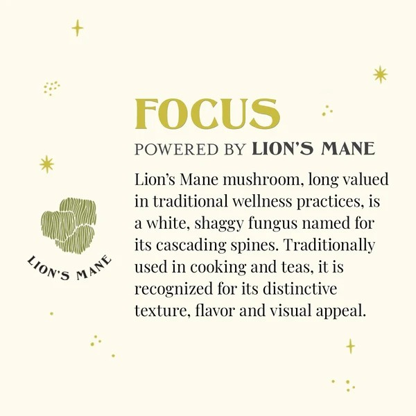 The Republic of Tea Organic SuperShroom Focus Tea