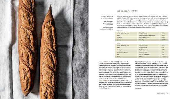 Mastering Bread: The Art and Practice of Handmade Sourdough, Yeast Bread, and Pastry