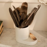 Creative Quill (feather)