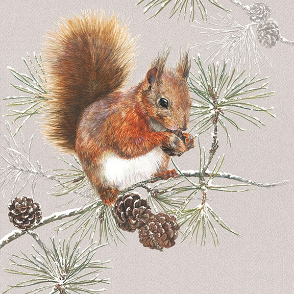 Red squirrel beverage cocktail napkin on a branch with pine cones and foliage