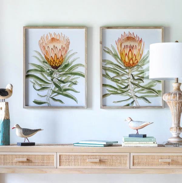 Protea Watercolor Print in Wood Frame Set of 1