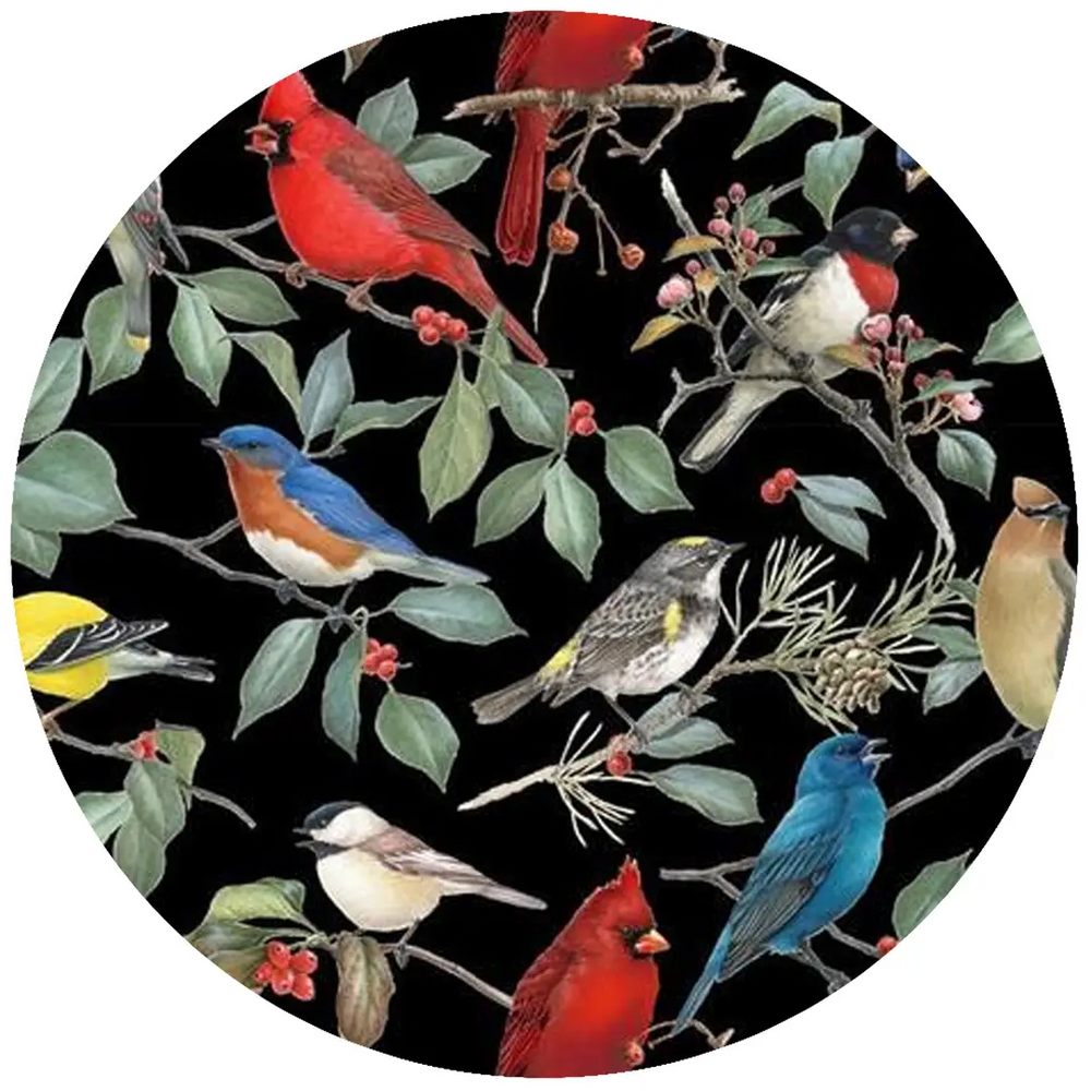 Birds | Jar Opener