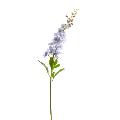 34" Delphinium Stem