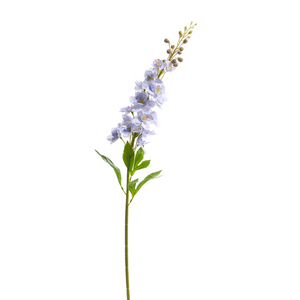 34" Delphinium Stem