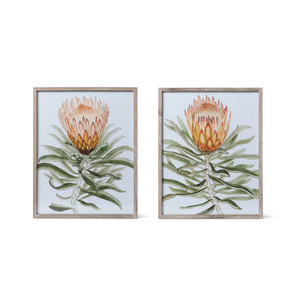 Protea Watercolor Print in Wood Frame Set of 1