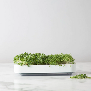 Chef'n Microgreens Micro Greens Grower