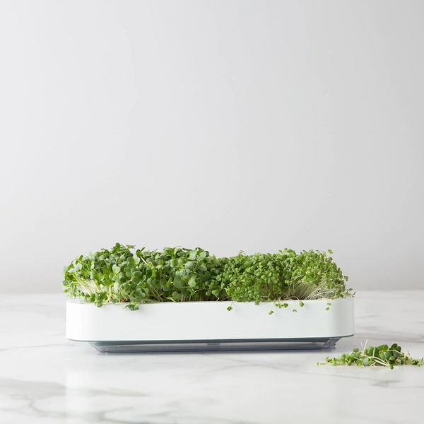 Chef'n Microgreens Micro Greens Grower