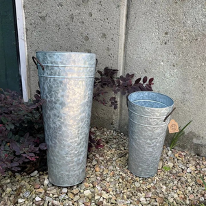 French Bucket