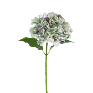 19" Real Touch Green and Purple Hydrangea Stem