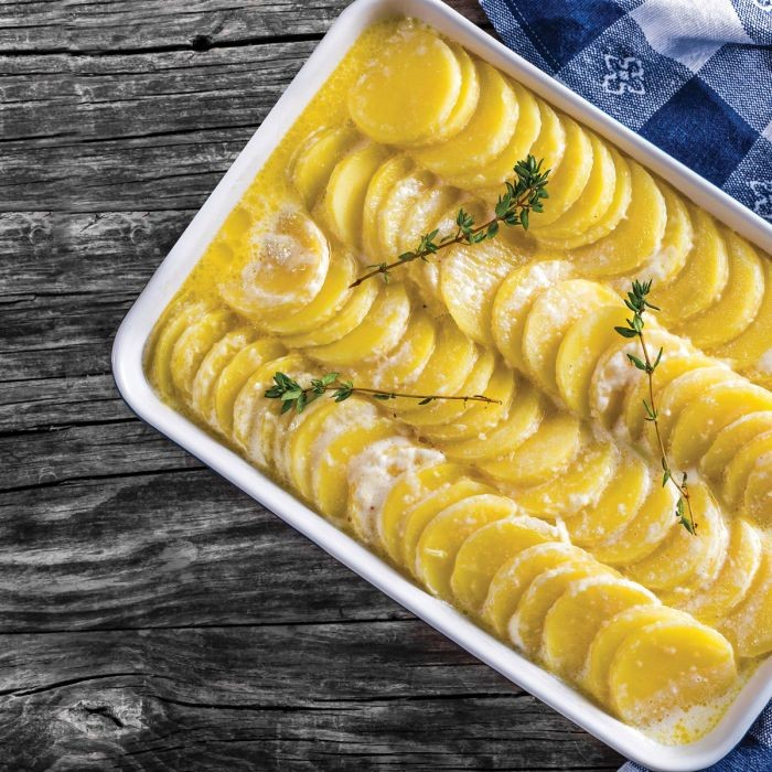 Lasagna Pan, White