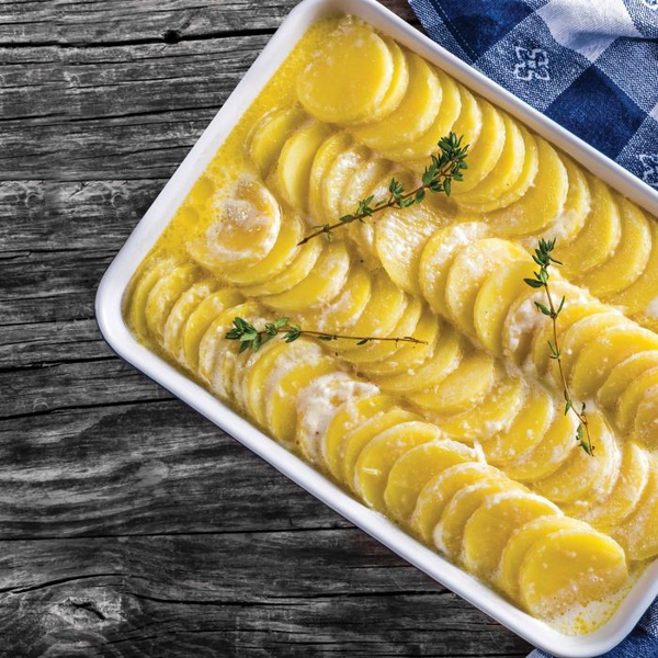 Lasagna Pan, White