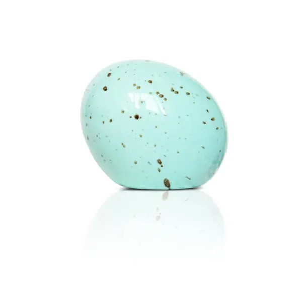 Eggstra-ordinary (robin egg) Nora Fleming