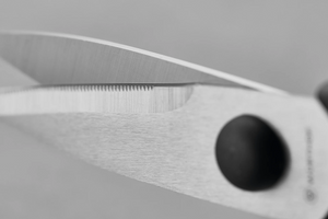 Pull-Apart Kitchen Shears