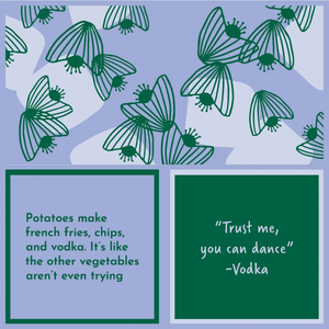 "Drinks On Me" Witty Party Napkins - Several Hysterical Options to Choose From!