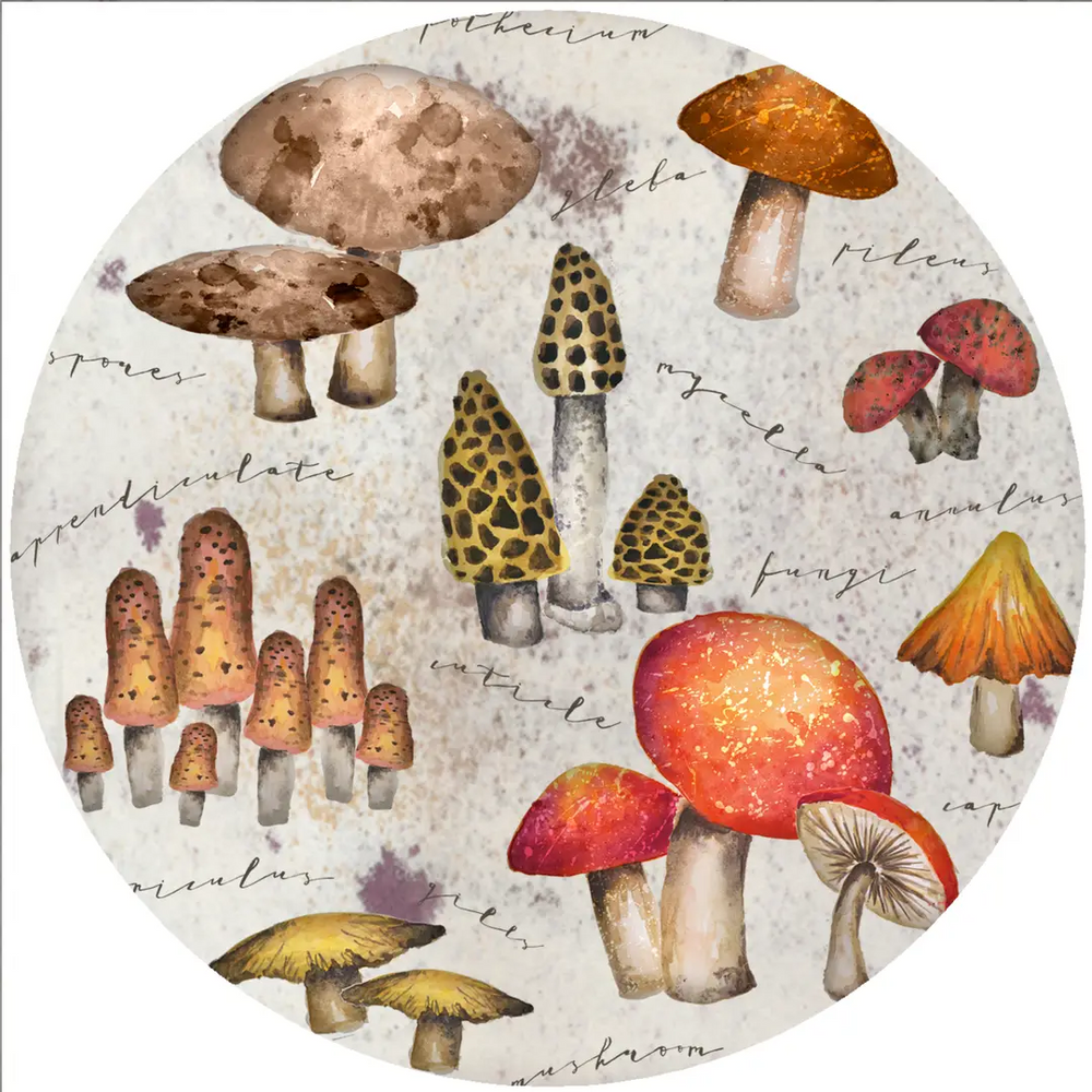 Mystical Mushroom | Jar Opener